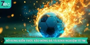Bổ Sung Kiến Thức Kèo Bóng Đá Và Kinh Nghiệm Từ 7M 7 Bổ Sung Kiến Thức Kèo Bóng Đá Và Kinh Nghiệm Từ 7M